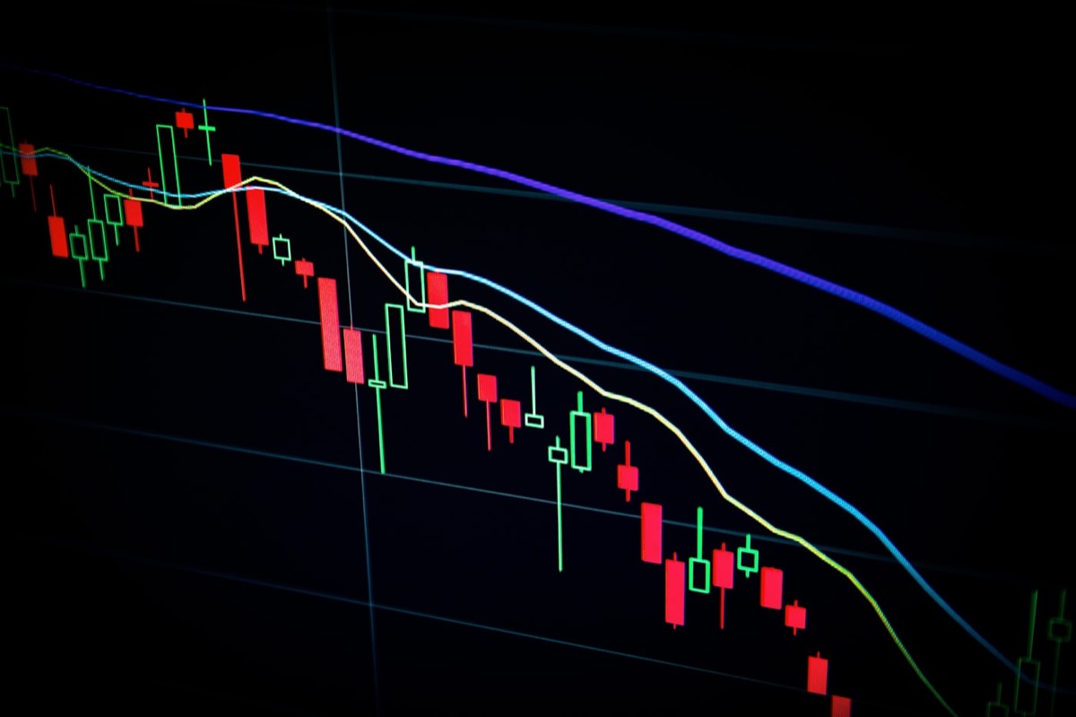 Screen full of candlestick charts — the data the engine reads every night